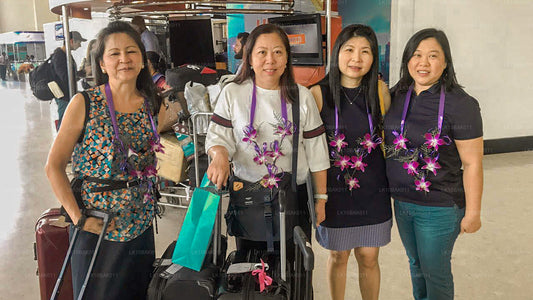 Приключения и досуг (11 дней)