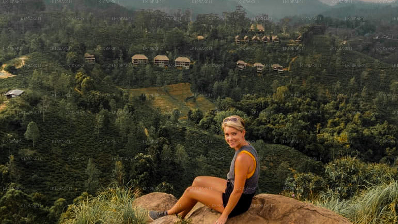 Приключения и досуг (11 дней)