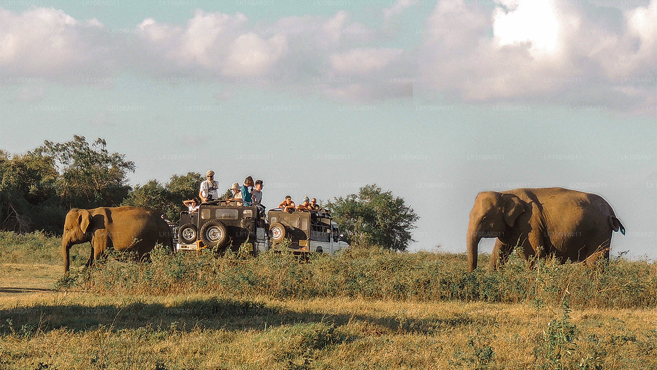 Приключения и досуг (11 дней)