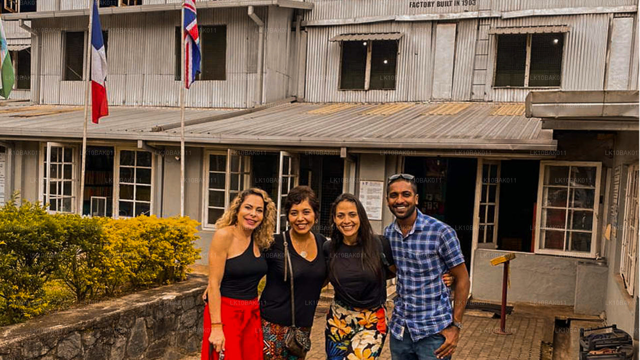 Приключения и досуг (11 дней)