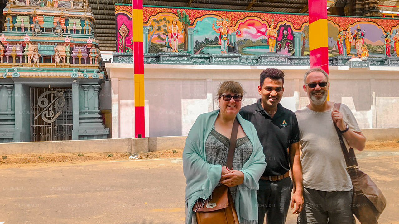 Побережье и походы (11 дней)