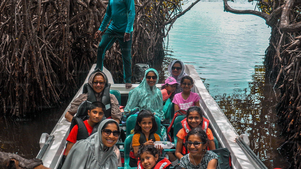 Побережье и походы (11 дней)