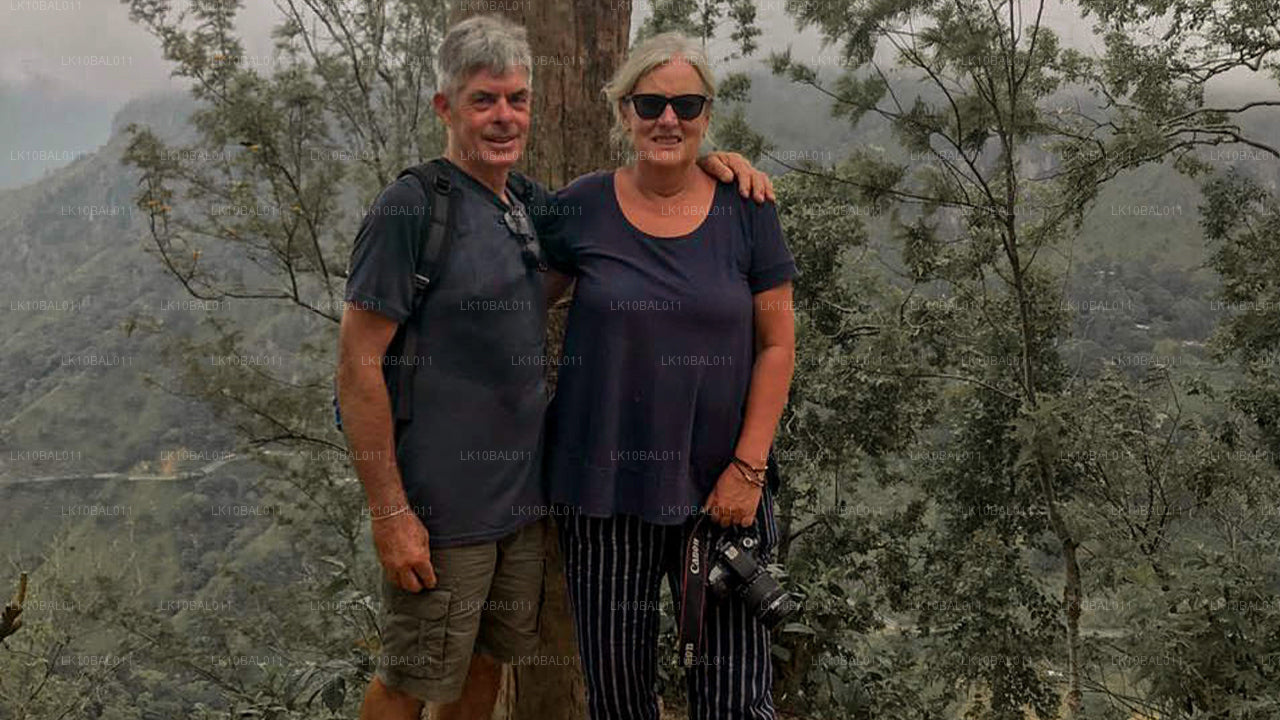 Побережье и походы (11 дней)