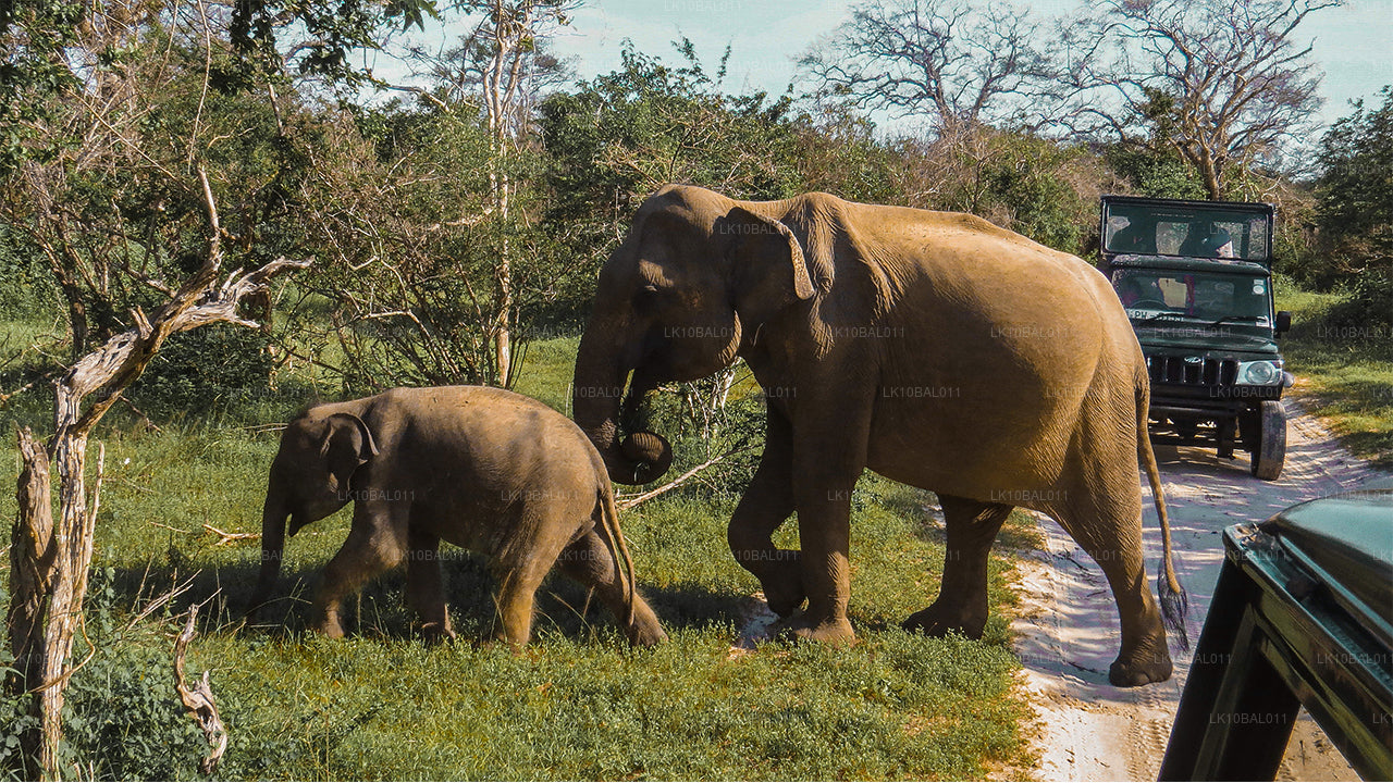 Побережье и походы (11 дней)