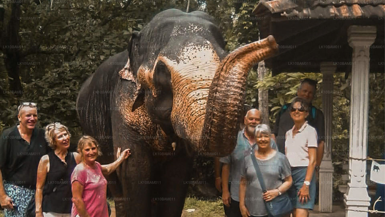 Живописный Серендиб (11 дней)