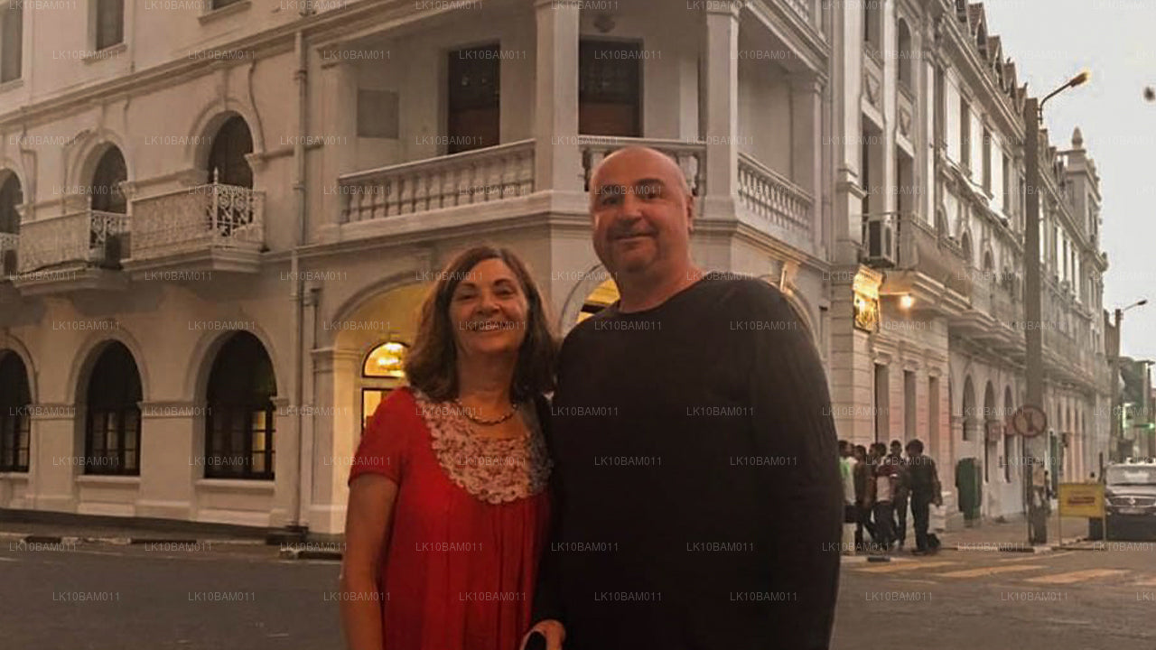 Живописный Серендиб (11 дней)