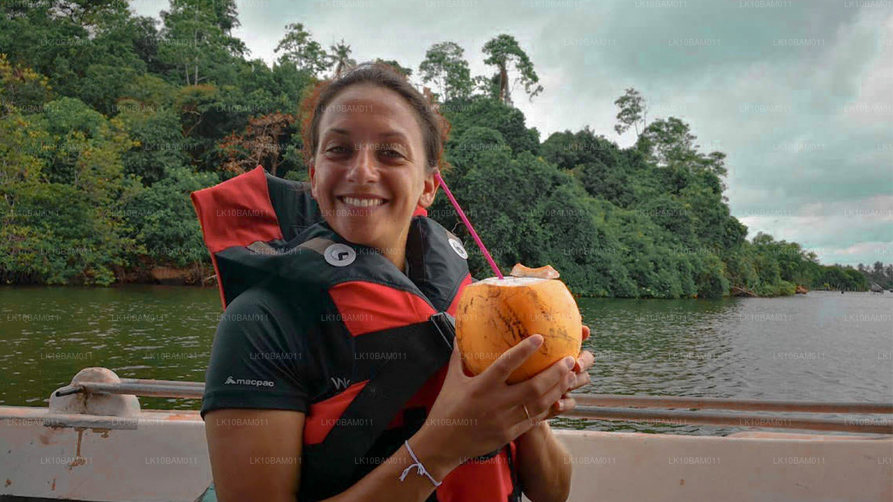 Живописный Серендиб (11 дней)