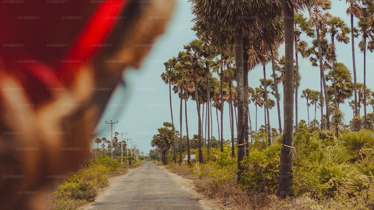 Опыт Северо-Востока (11 дней)