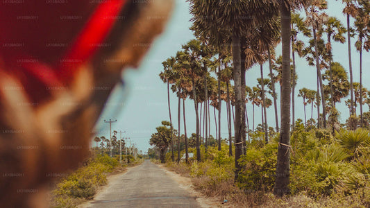 Опыт Северо-Востока (11 дней)