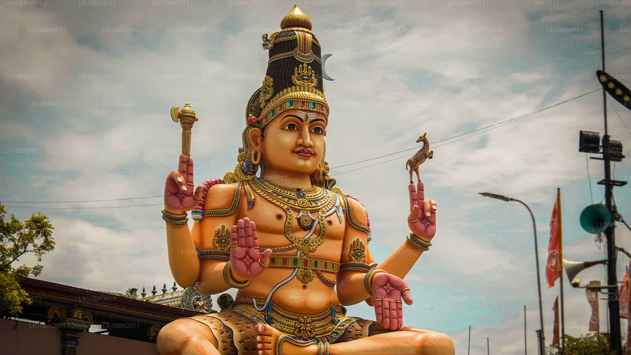 Опыт Северо-Востока (11 дней)