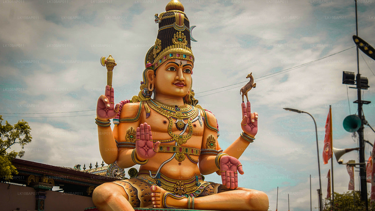 Откройте для себя заповедник (11 дней)