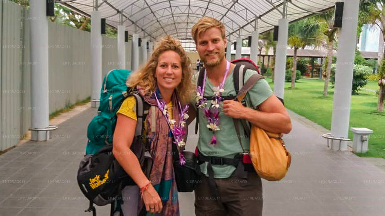 Затерянные на Цейлоне (11 дней)