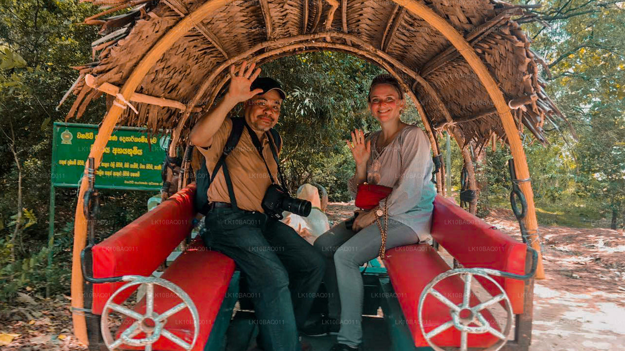 Затерянные на Цейлоне (11 дней)