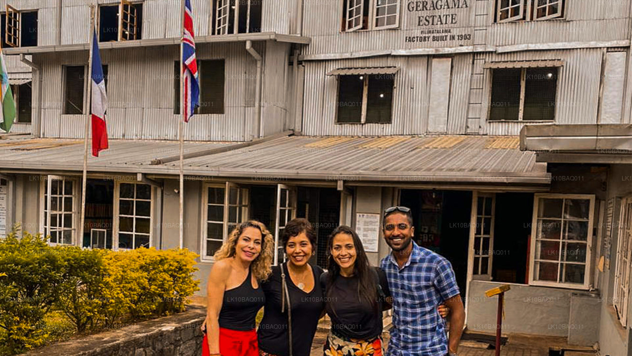 Затерянные на Цейлоне (11 дней)