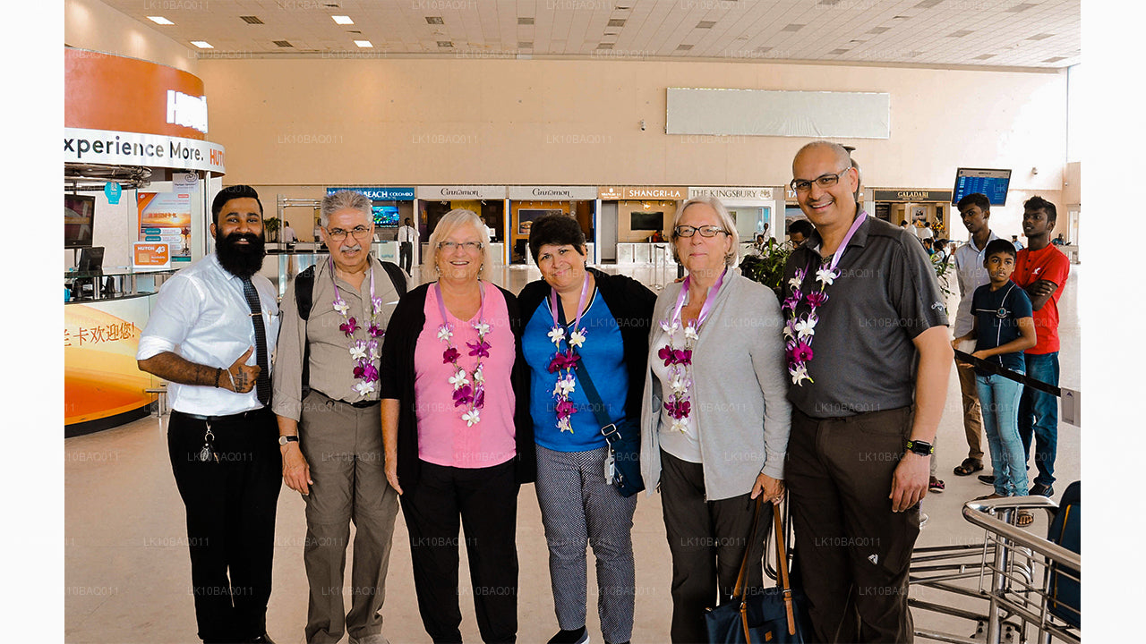 Затерянные на Цейлоне (11 дней)