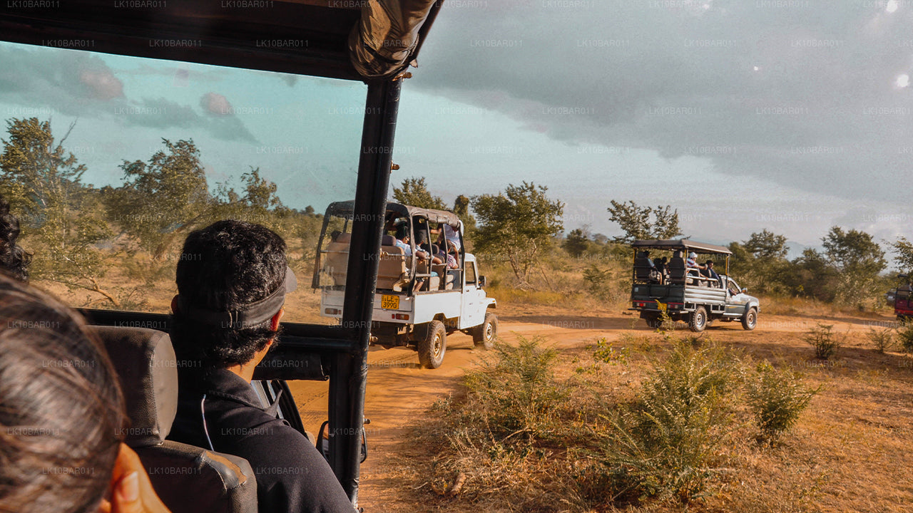 Праздник Рамаяна (11 дней)