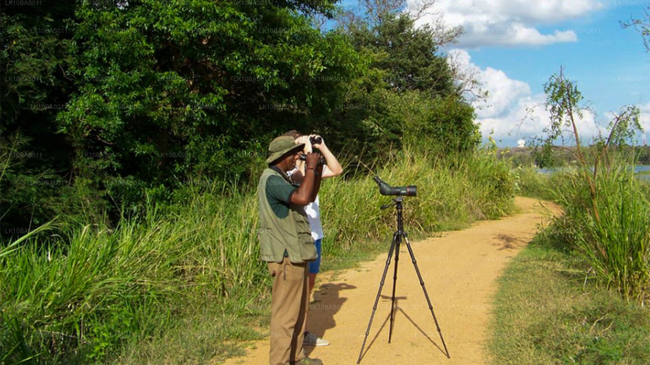 Тропа бабочек (11 дней)