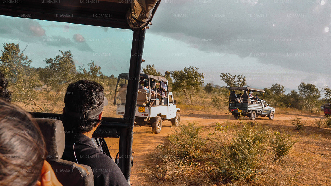 Тропа бабочек (11 дней)