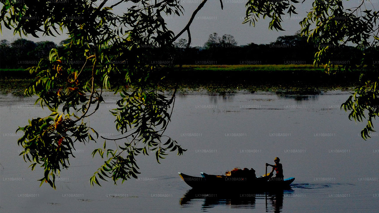 Тропа бабочек (11 дней)