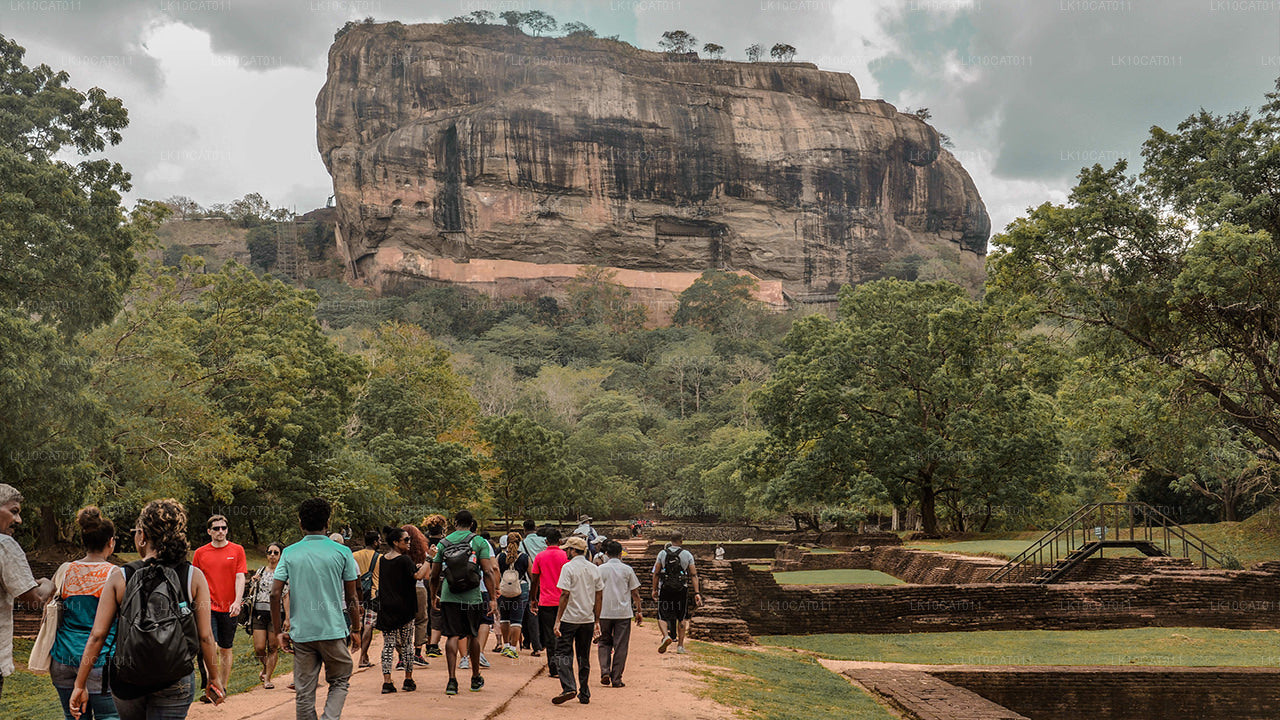 Откройте для себя, расслабьтесь и восстановите силы (12 дней)