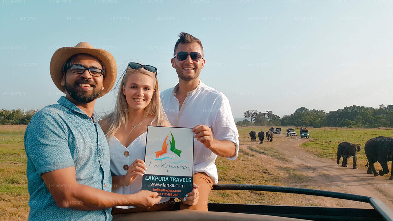 Откройте для себя, расслабьтесь и восстановите силы (12 дней)