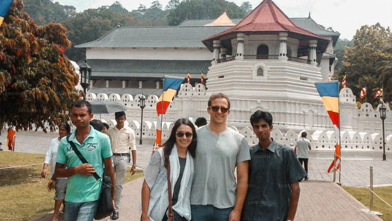 Откройте для себя, расслабьтесь и восстановите силы (12 дней)