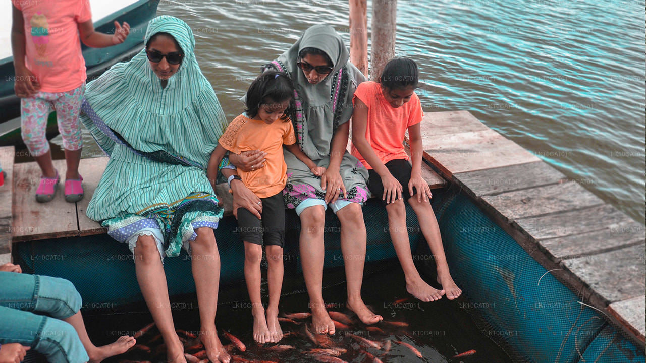 Откройте для себя, расслабьтесь и восстановите силы (12 дней)