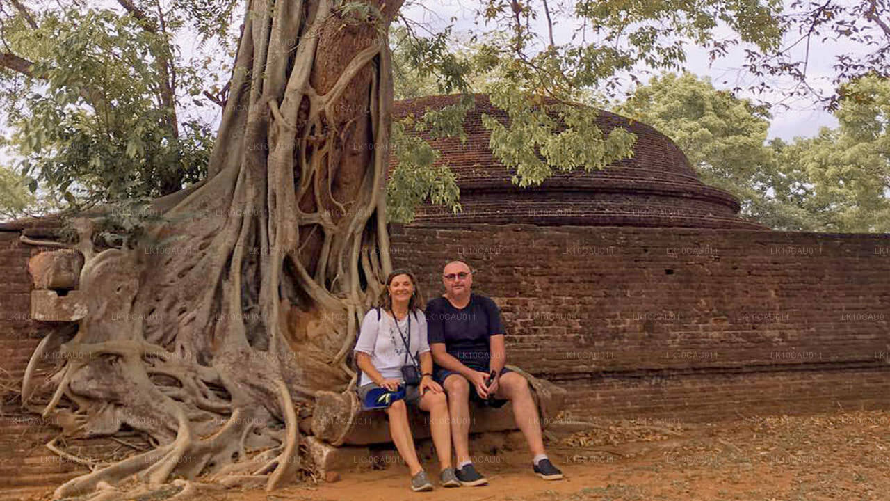 Культура и побережье (12 дней)