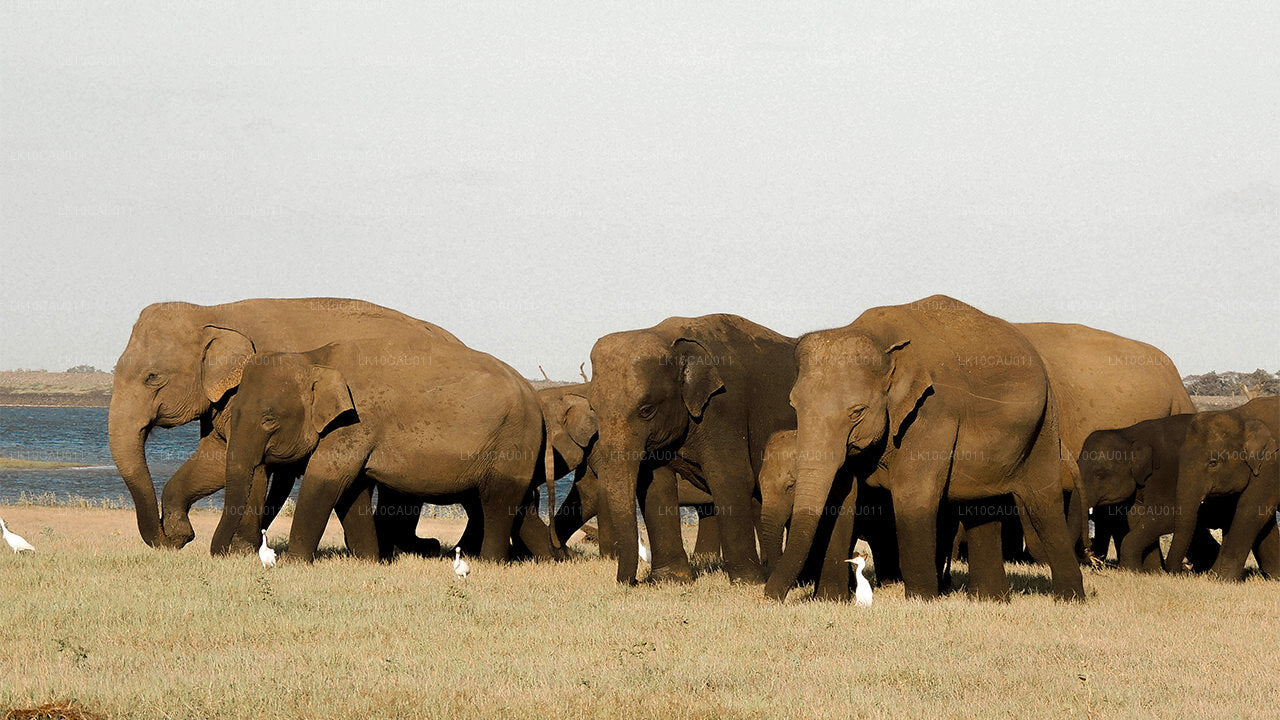 Культура и побережье (12 дней)