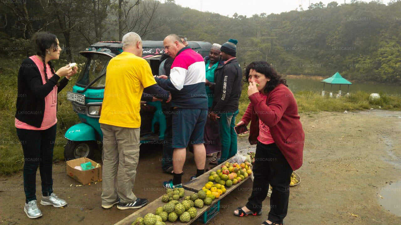 Культура и побережье (12 дней)