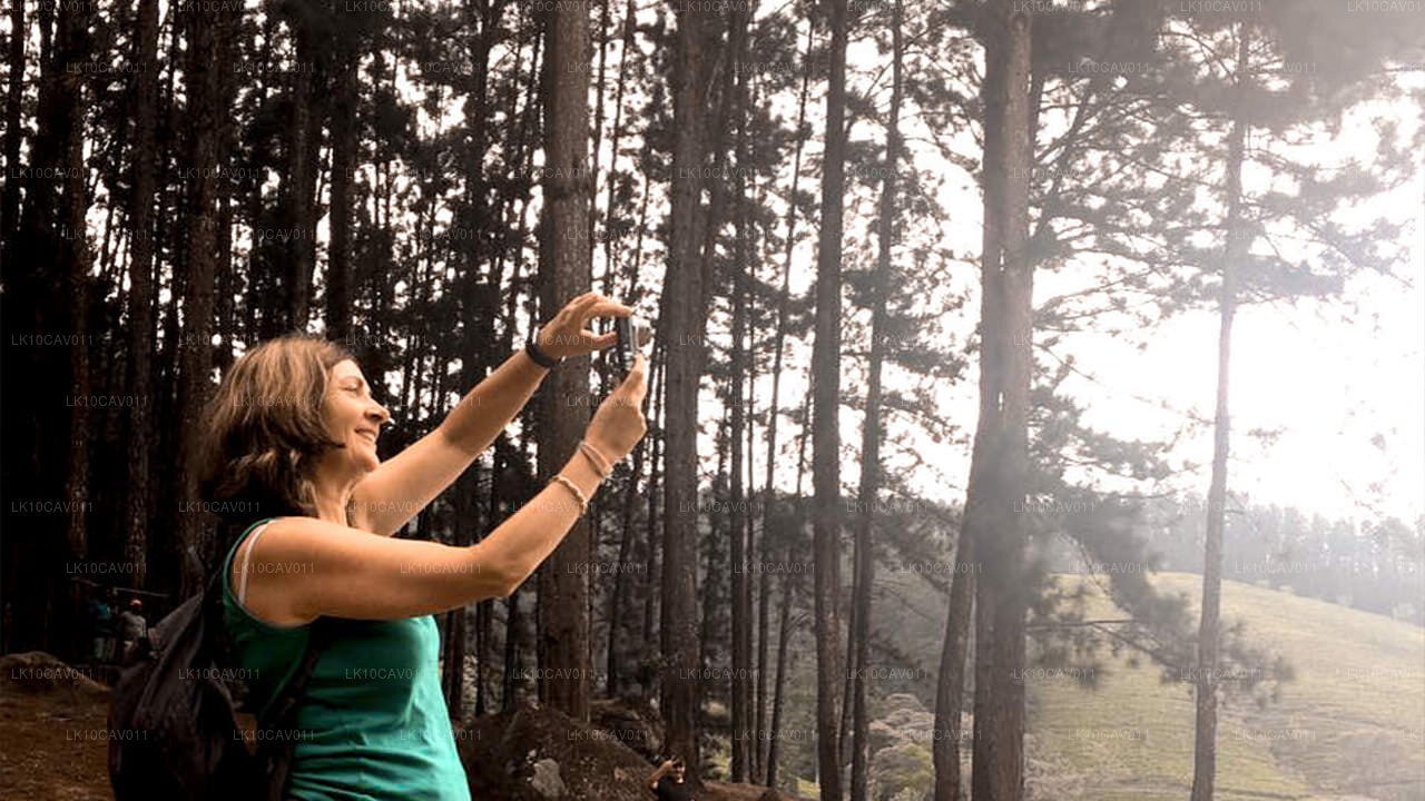 Отдых и приключения (12 дней)