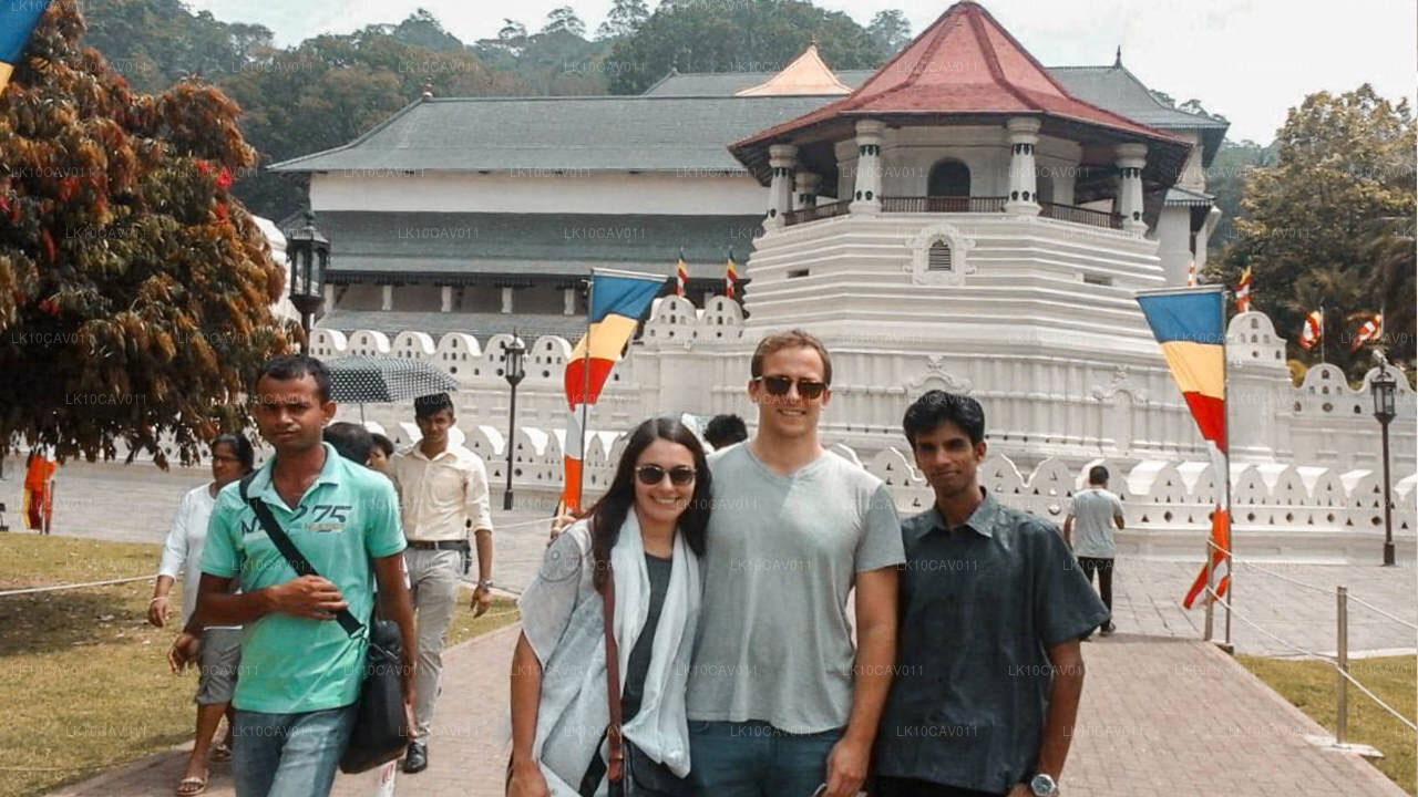 Отдых и приключения (12 дней)