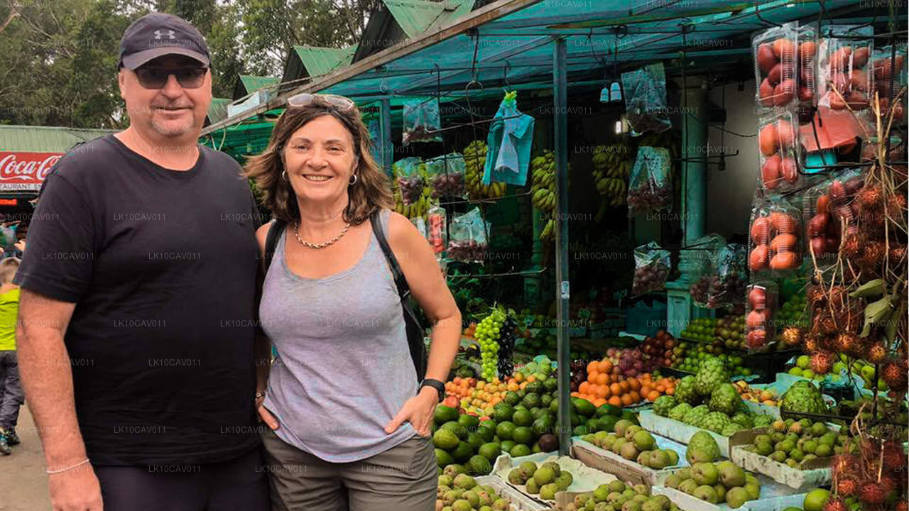 Отдых и приключения (12 дней)