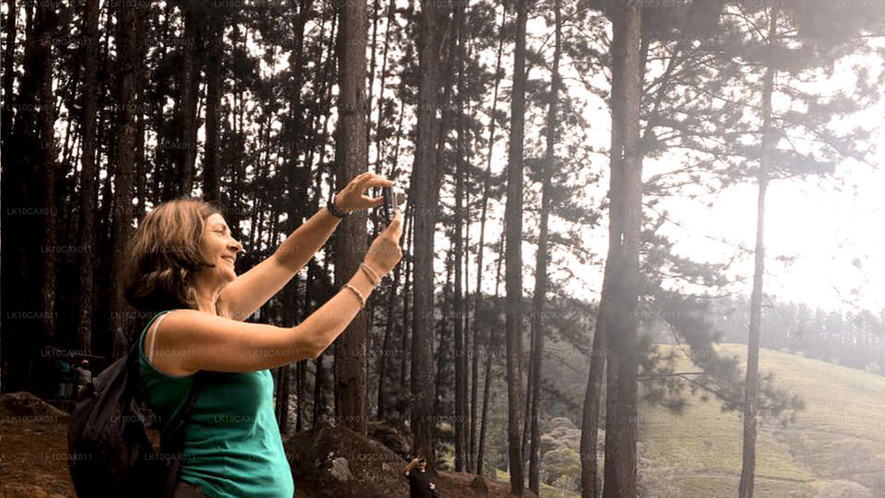 Приключение с изюминкой (12 дней)