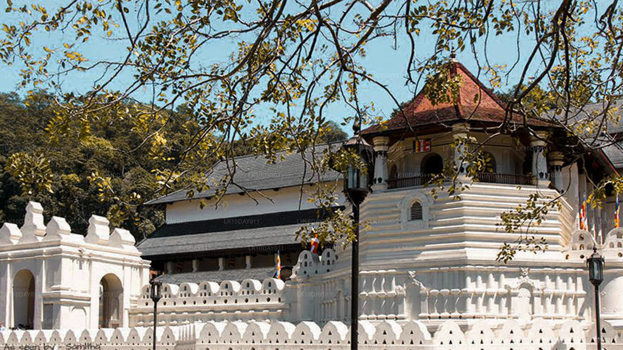 Буддийский паломнический тур (13 дней)