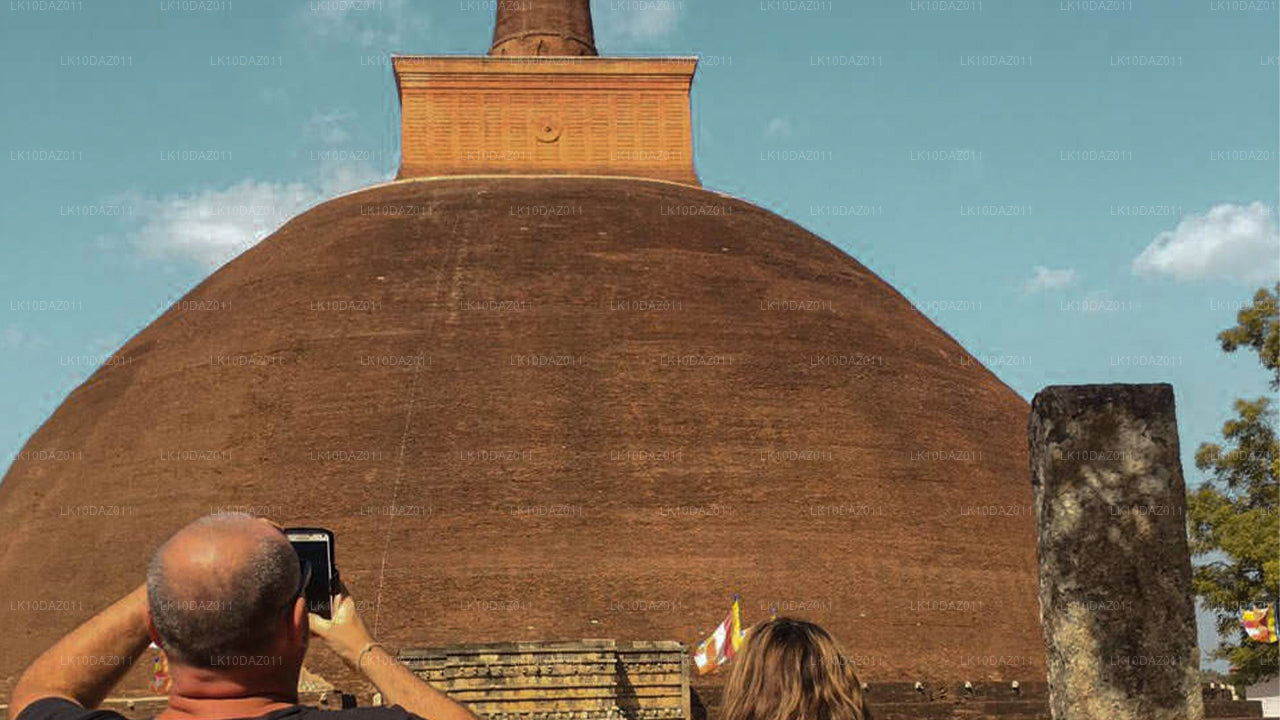 Побережье и культура (13 дней)