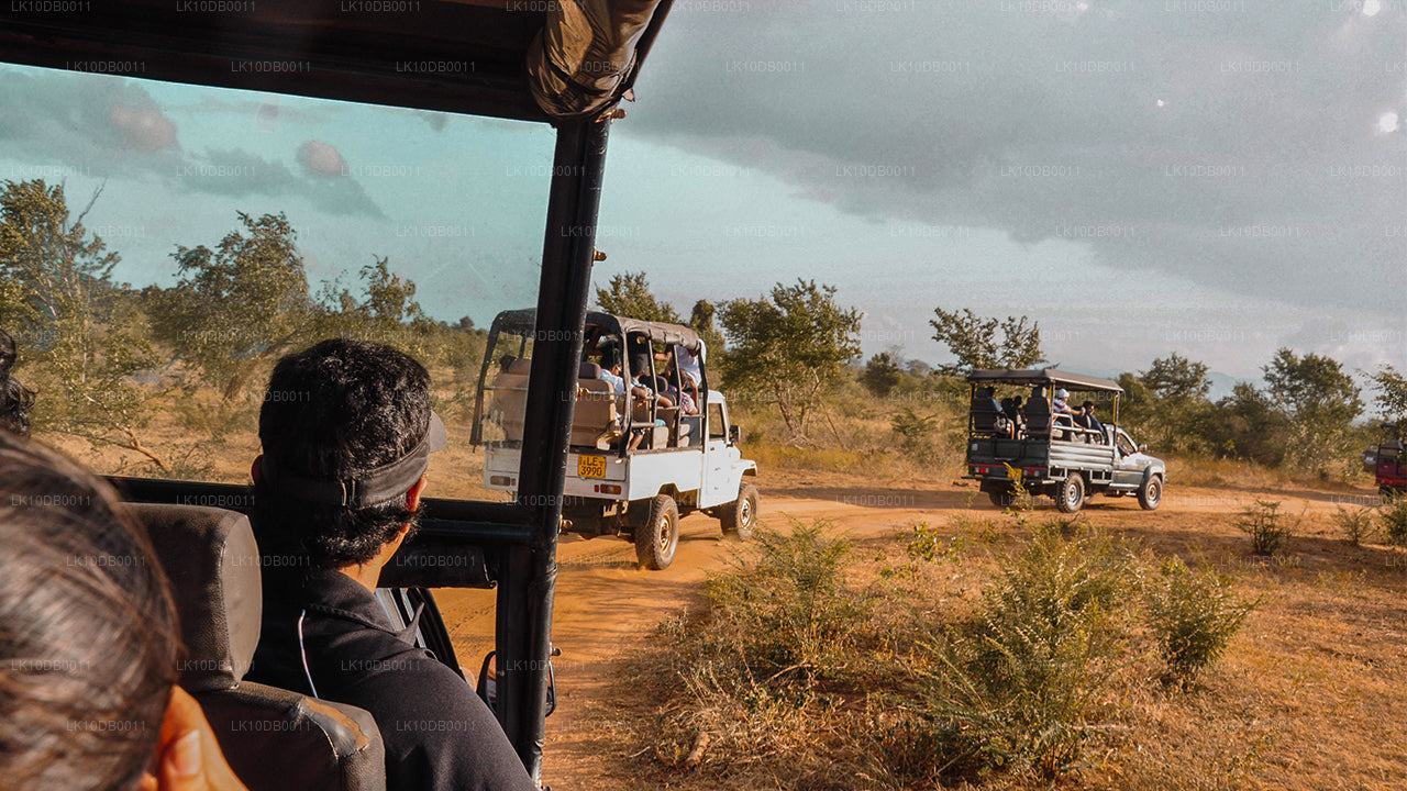 Адвент на Цейлоне (13 дней)