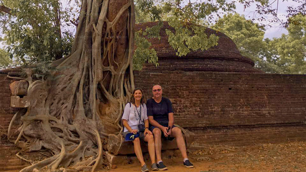 Славный Цейлон (13 дней)