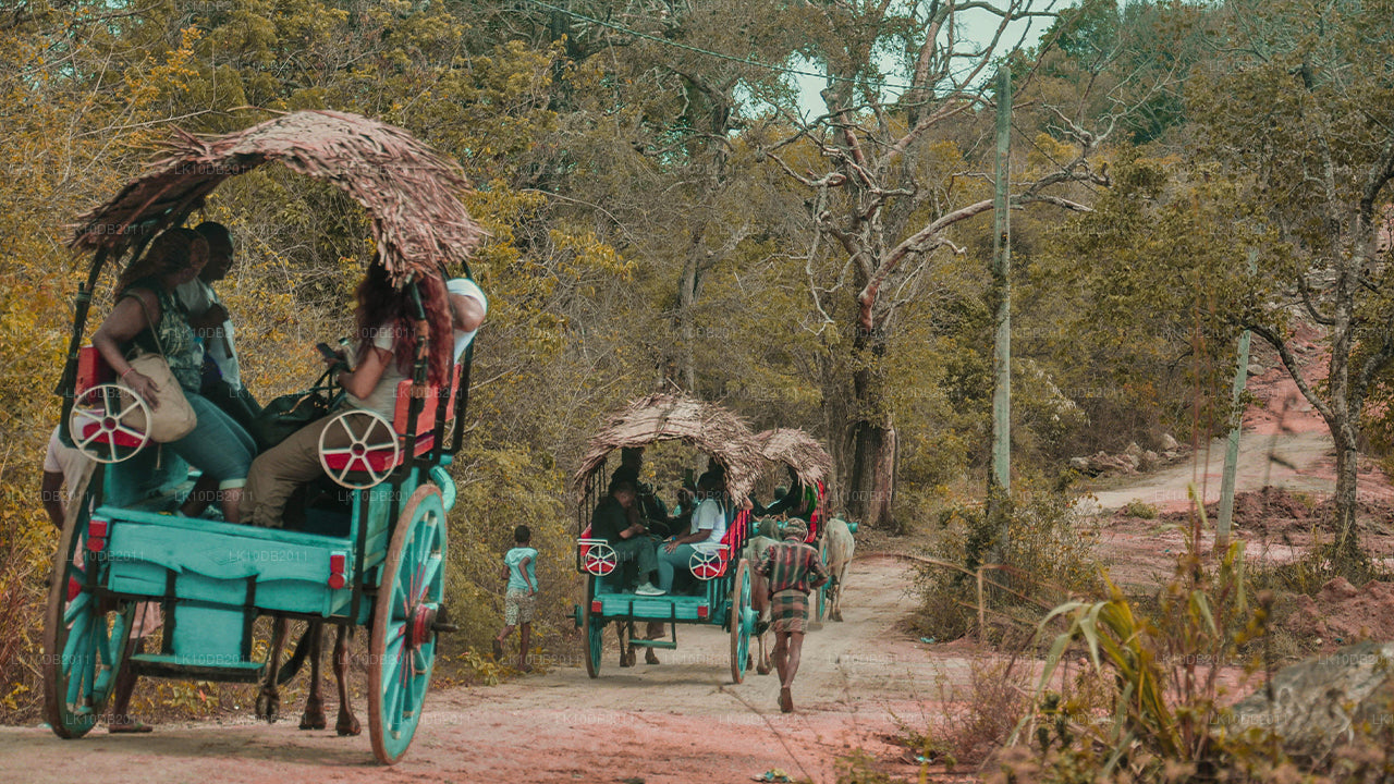 Рассказы о Тапробане (13 дней)