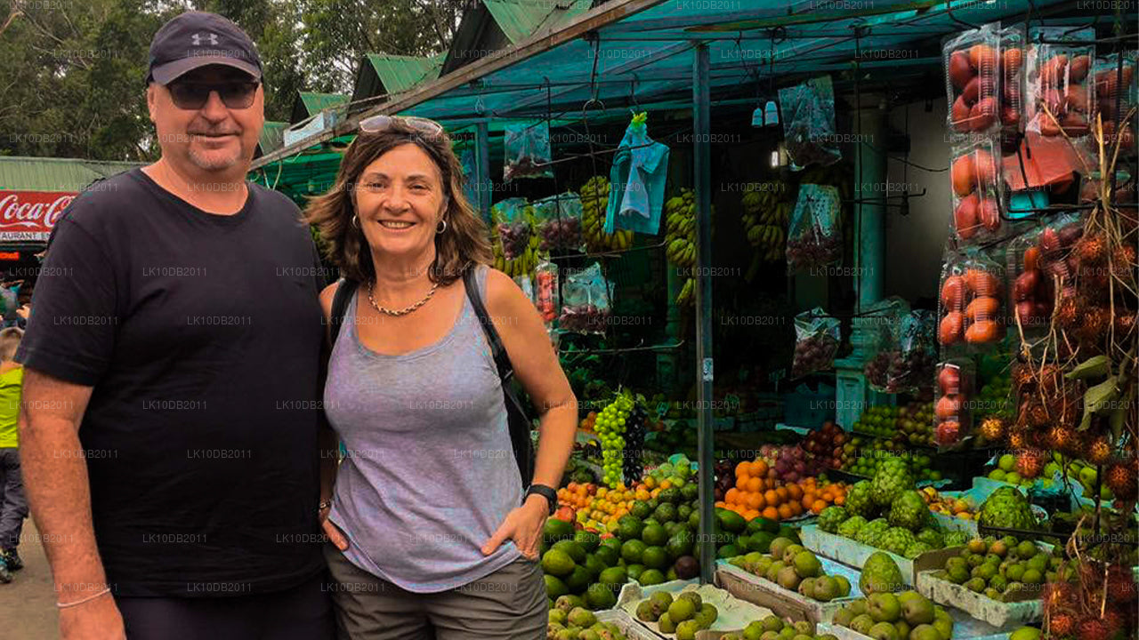 Рассказы о Тапробане (13 дней)