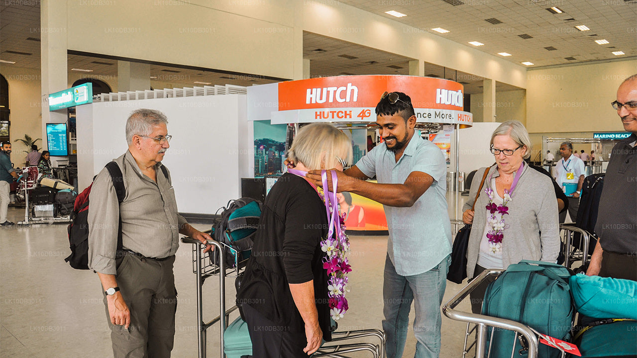 Прогулка по Цейлону (13 дней)