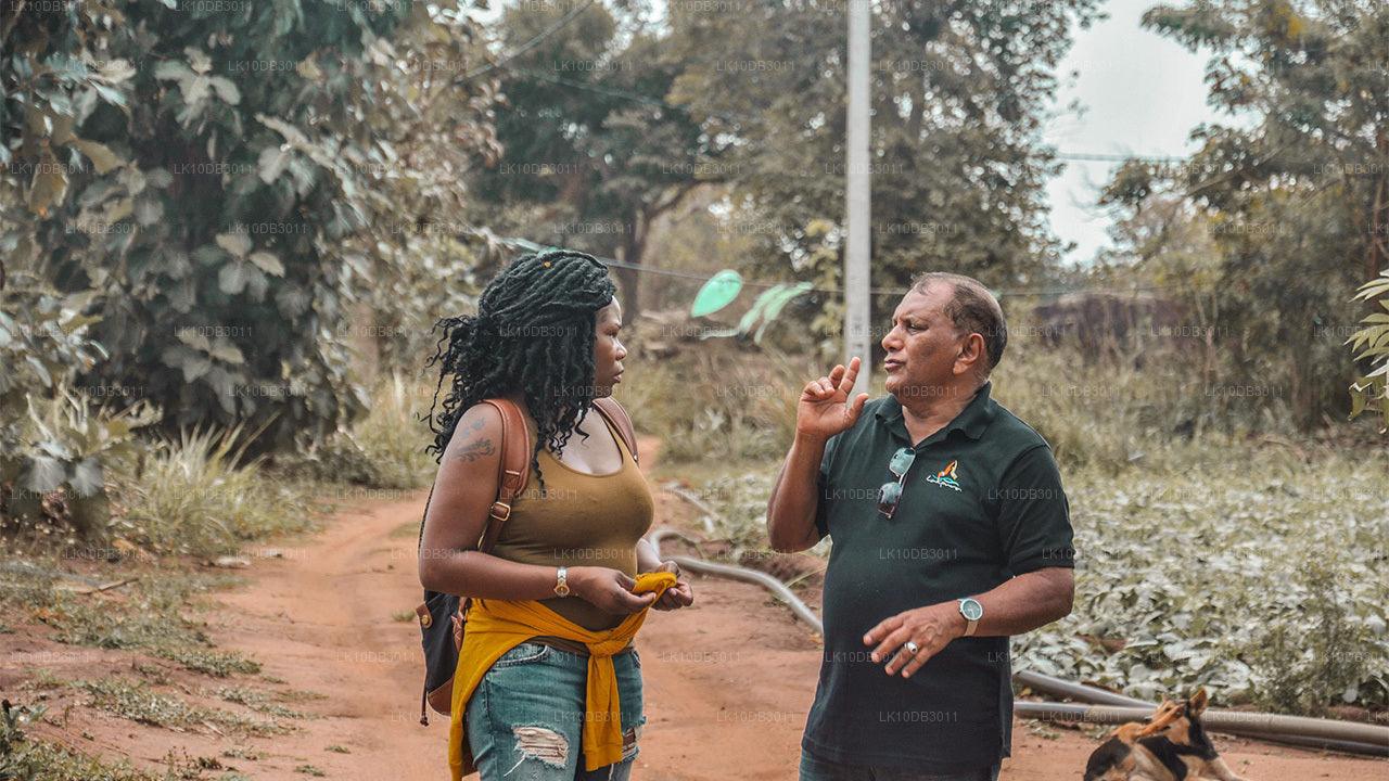 Прогулка по Цейлону (13 дней)