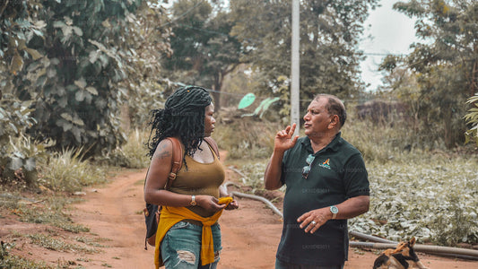 Прогулка по Цейлону (13 дней)