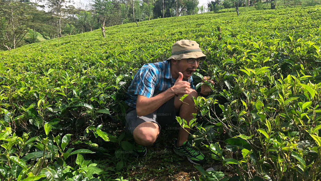 Историческое наследие и пляж (14 дней)