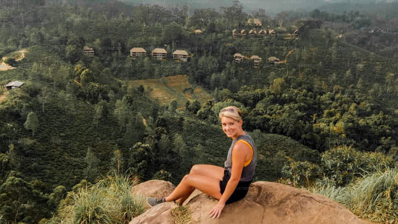 Историческое наследие и пляж (14 дней)