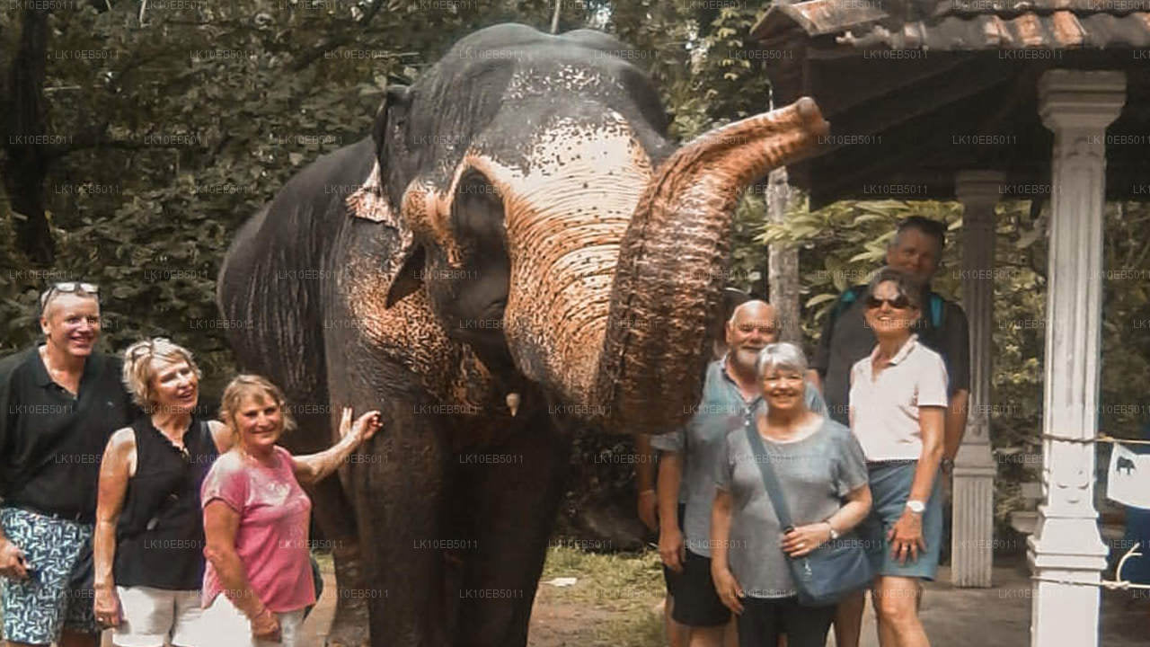 Сенсация мира (14 дней)