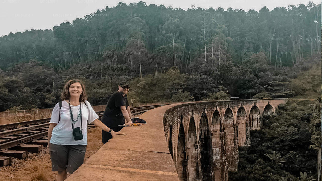 Сенсация мира (14 дней)