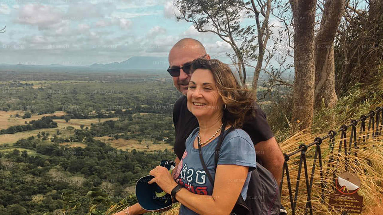 Сенсация мира (14 дней)