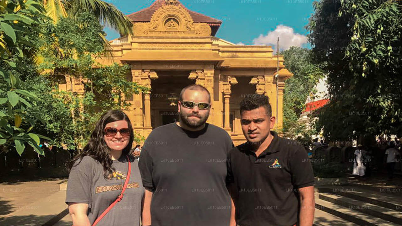 Сенсация мира (14 дней)