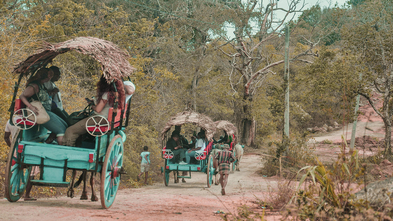 Сенсация мира (14 дней)